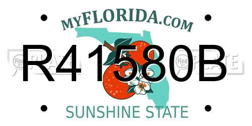 R41580B Florida License Plate
