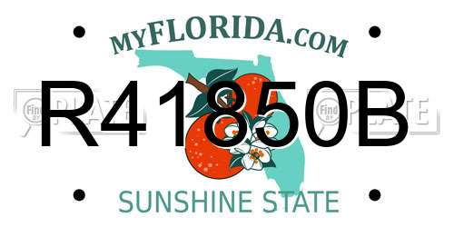 R41850B Florida License Plate