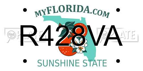 R428VA Florida License Plate