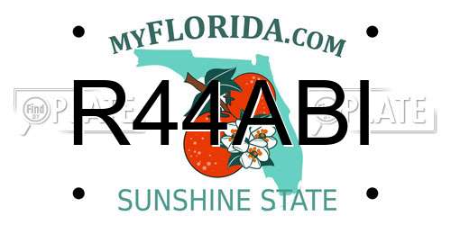 R44ABI Florida License Plate