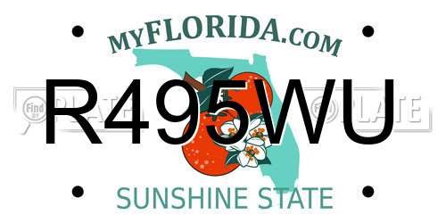 R495WU Florida License Plate