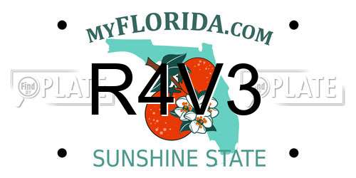 R4V3 Florida License Plate
