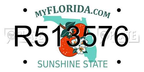 R513576 Florida License Plate
