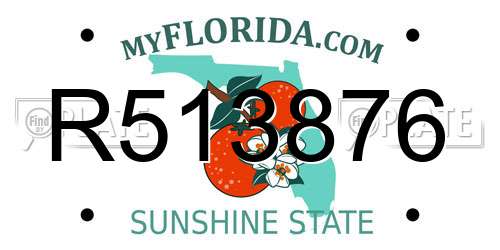 R513876 Florida License Plate