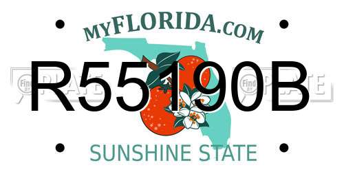 R55190B Florida License Plate