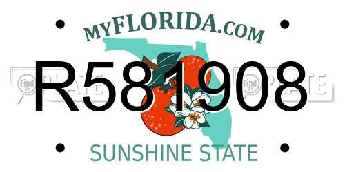 R581908 Florida License Plate