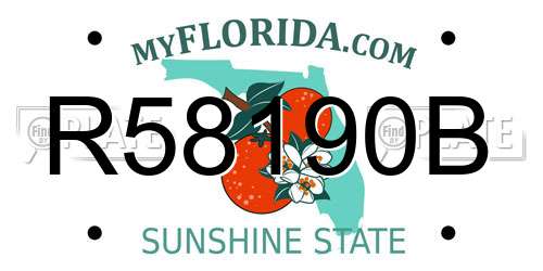 R58190B Florida License Plate