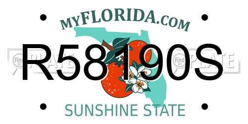 R58190S Florida License Plate