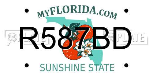 R587BD Florida License Plate