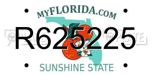 R625225 Florida License Plate
