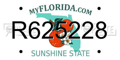 R625228 Florida License Plate