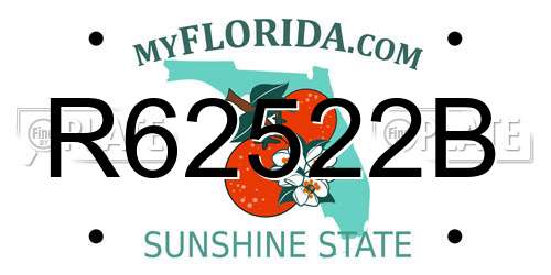 R62522B Florida License Plate