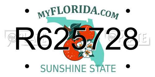R625728 Florida License Plate
