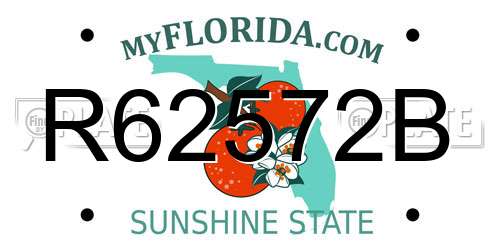 R62572B Florida License Plate