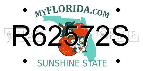 R62572S Florida License Plate