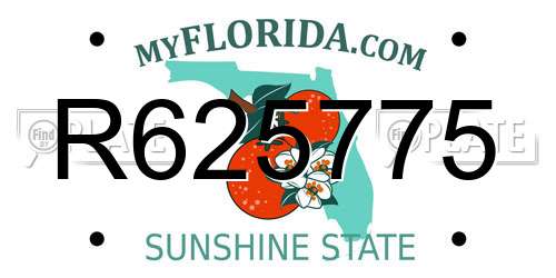 R625775 Florida License Plate
