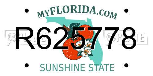 R625778 Florida License Plate