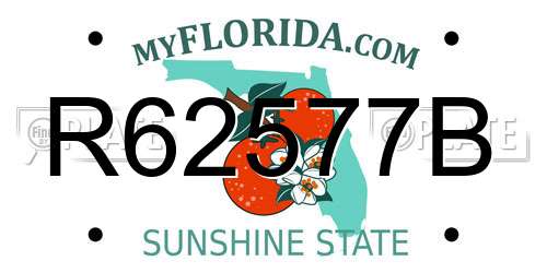 R62577B Florida License Plate