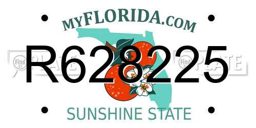 R628225 Florida License Plate