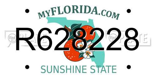 R628228 Florida License Plate