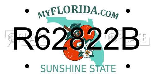 R62822B Florida License Plate