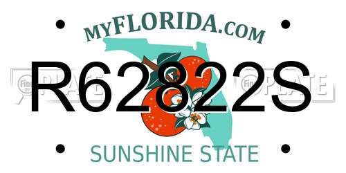 R62822S Florida License Plate