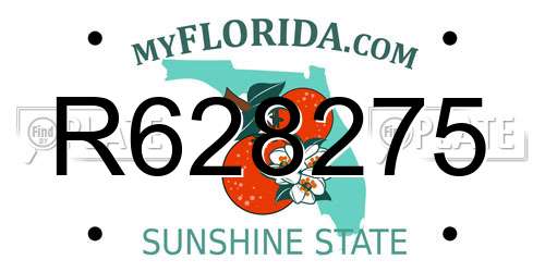 R628275 Florida License Plate