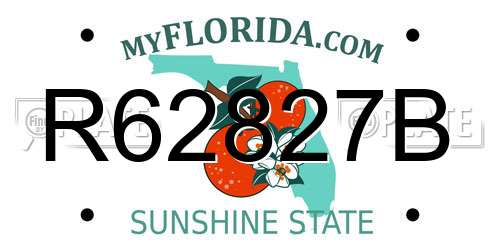 R62827B Florida License Plate
