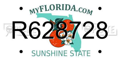 R628728 Florida License Plate