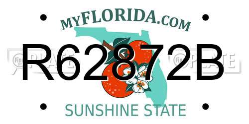 R62872B Florida License Plate