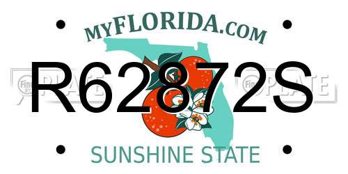 R62872S Florida License Plate