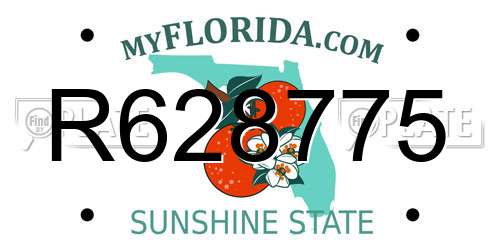 R628775 Florida License Plate