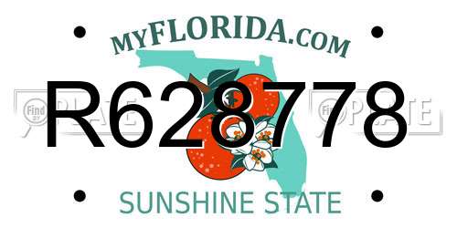 R628778 Florida License Plate