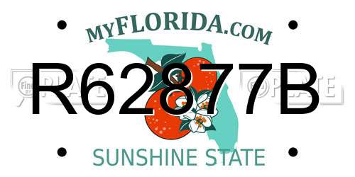 R62877B Florida License Plate