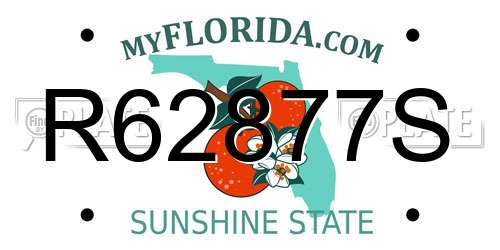 R62877S Florida License Plate
