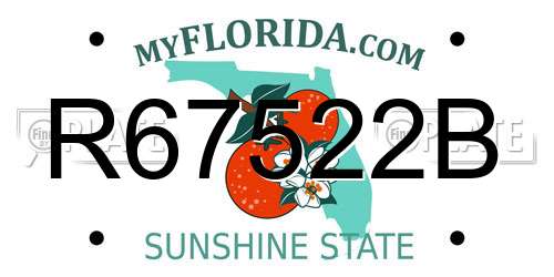 R67522B Florida License Plate