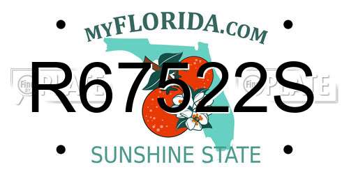 R67522S Florida License Plate