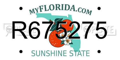 R675275 Florida License Plate