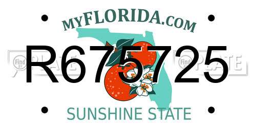 R675725 Florida License Plate