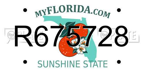 R675728 Florida License Plate