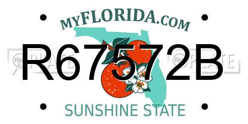 R67572B Florida License Plate
