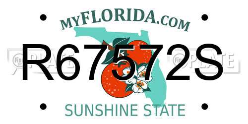 R67572S Florida License Plate