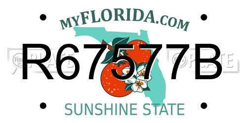 R67577B Florida License Plate