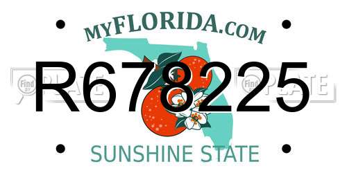 R678225 Florida License Plate
