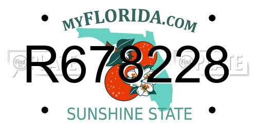 R678228 Florida License Plate