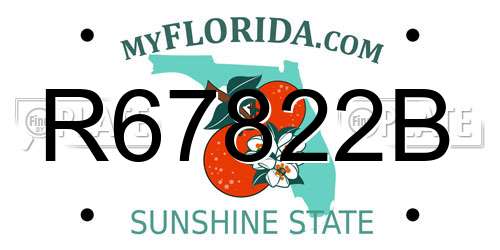 R67822B Florida License Plate