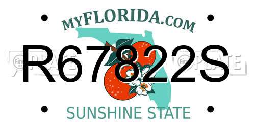R67822S Florida License Plate