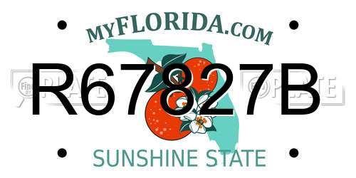 R67827B Florida License Plate