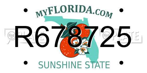 R678725 Florida License Plate