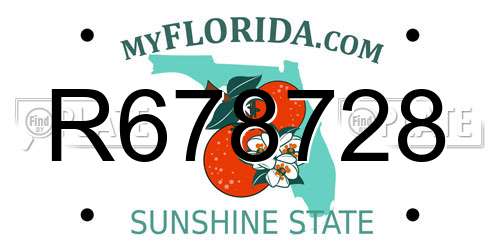 R678728 Florida License Plate